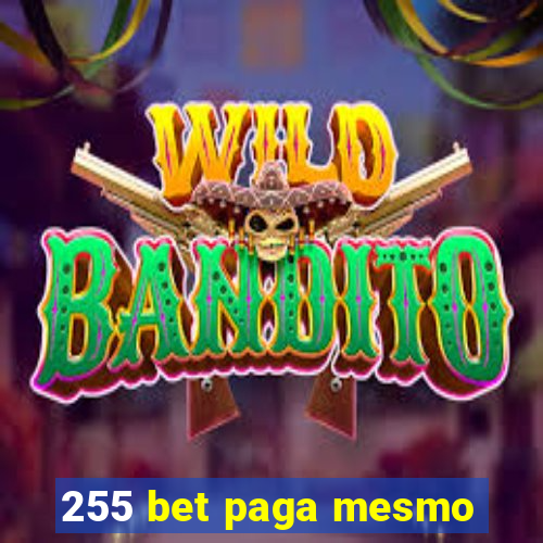 255 bet paga mesmo